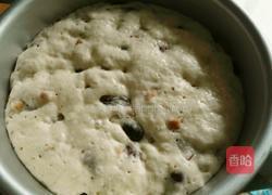 葡萄干红枣发糕的做法图解5