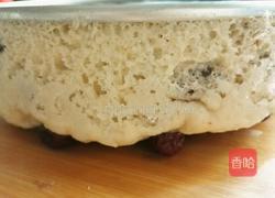 葡萄干红枣发糕的做法图解8