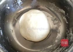 猪肉木耳胡萝卜水饺的做法图解6