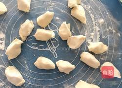 猪肉木耳胡萝卜水饺的做法图解10