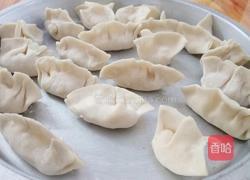 白菜饺子的做法图解7