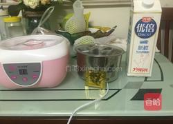 diy希腊酸奶的做法图解1