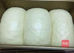 牛奶吐司的做法图解4