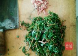 清炒马齿苋的做法图解2