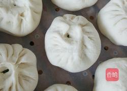 芸豆猪肉包子的做法图解8