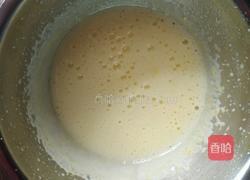 可可冰淇淋的做法图解3