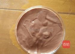 可可冰淇淋的做法图解4