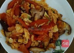 番茄炒蛋新做法的做法图解8