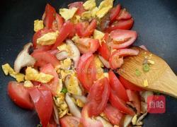 番茄炒蛋新做法的做法图解6