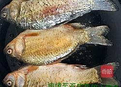 【白萝卜丝鲫鱼汤】的做法图解5