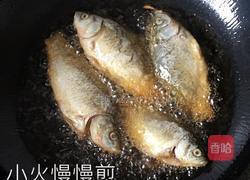 【白萝卜丝鲫鱼汤】的做法图解6