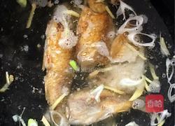 【白萝卜丝鲫鱼汤】的做法图解7