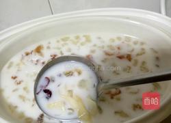 牛奶炖花胶的做法图解3