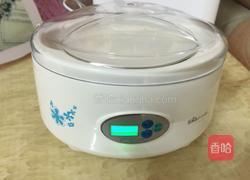 自制酸奶的做法图解5