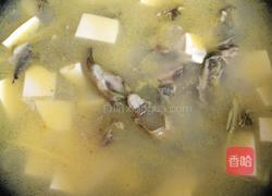昂刺鱼（黄刺鱼）豆腐汤的做法图解5