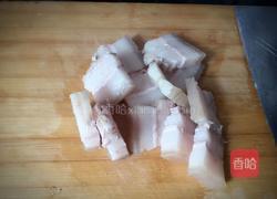 红烧东坡肉的做法图解4