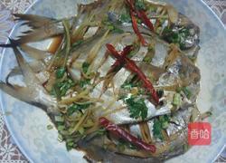 蒸鲳鱼的做法图解6