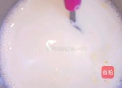 全脂奶粉做酸奶的做法图解4