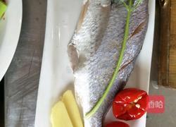 泡椒豆豉烧黄鱼的做法图解1