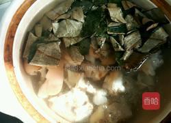 荷叶薏米猪蹄汤的做法图解3