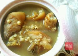 荷叶薏米猪蹄汤的做法图解4