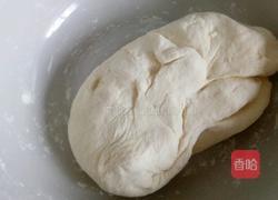 豆角猪肉包的做法图解1