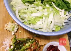 辣炒白菜的做法图解2