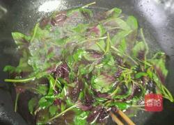 蒜蓉苋菜的做法图解2