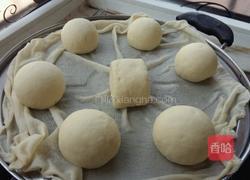 戗面馒头的做法图解7