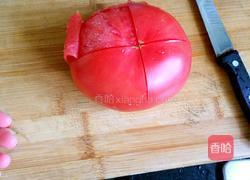 家庭版番茄酱的做法图解2