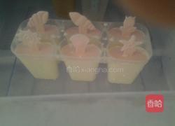 牛奶冰棒的做法图解6