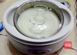 自做酸奶的做法图解7