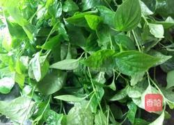 夏日靓汤 狗肝菜瘦肉汤的做法图解1