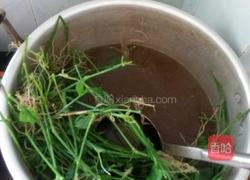 夏日靓汤 狗肝菜瘦肉汤的做法图解3