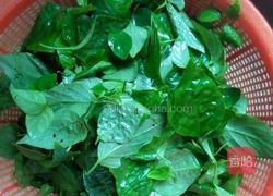 夏日靓汤 狗肝菜瘦肉汤的做法图解4