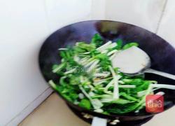 清炒小白菜的做法图解3