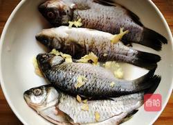 鲫鱼炖豆腐的做法图解1