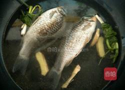 鲫鱼汤的做法图解3