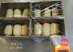 100%中种北海道吐司(软妹子)的做法图解9