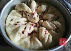 蔓越莓手撕面包的做法图解12