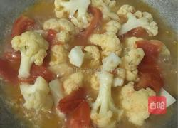 西红柿煮花菜的做法图解5