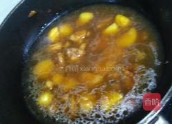 土豆炖鸡肉的做法图解5