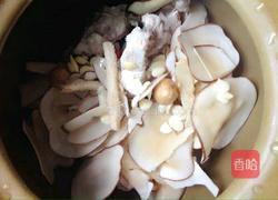 海底椰润肺躺的做法图解4