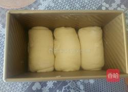 葡萄干吐司的做法图解10