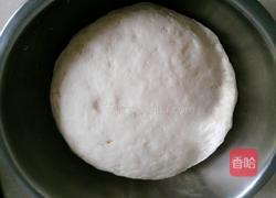 香辣花卷的做法图解5