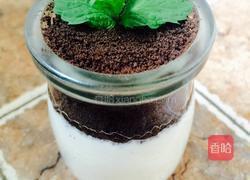盆栽酸奶的做法图解9