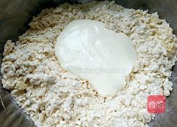 全麦酸奶吐司的做法图解4