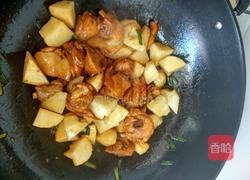 鸡腿烧土豆的做法图解4