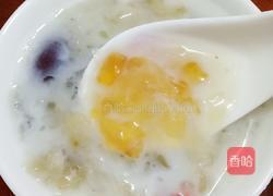 果冻羹的做法图解7
