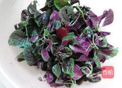 上汤苋菜的做法图解1